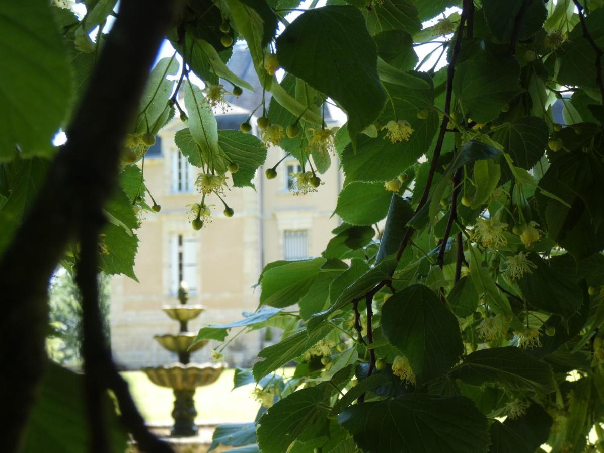 Chateau Marith - Etablissement Climatise Avec Piscine 호텔 Clairac  외부 사진