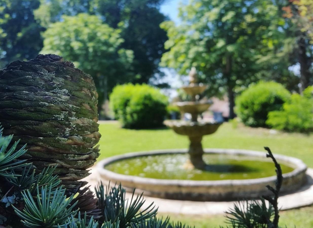 Chateau Marith - Etablissement Climatise Avec Piscine 호텔 Clairac  외부 사진